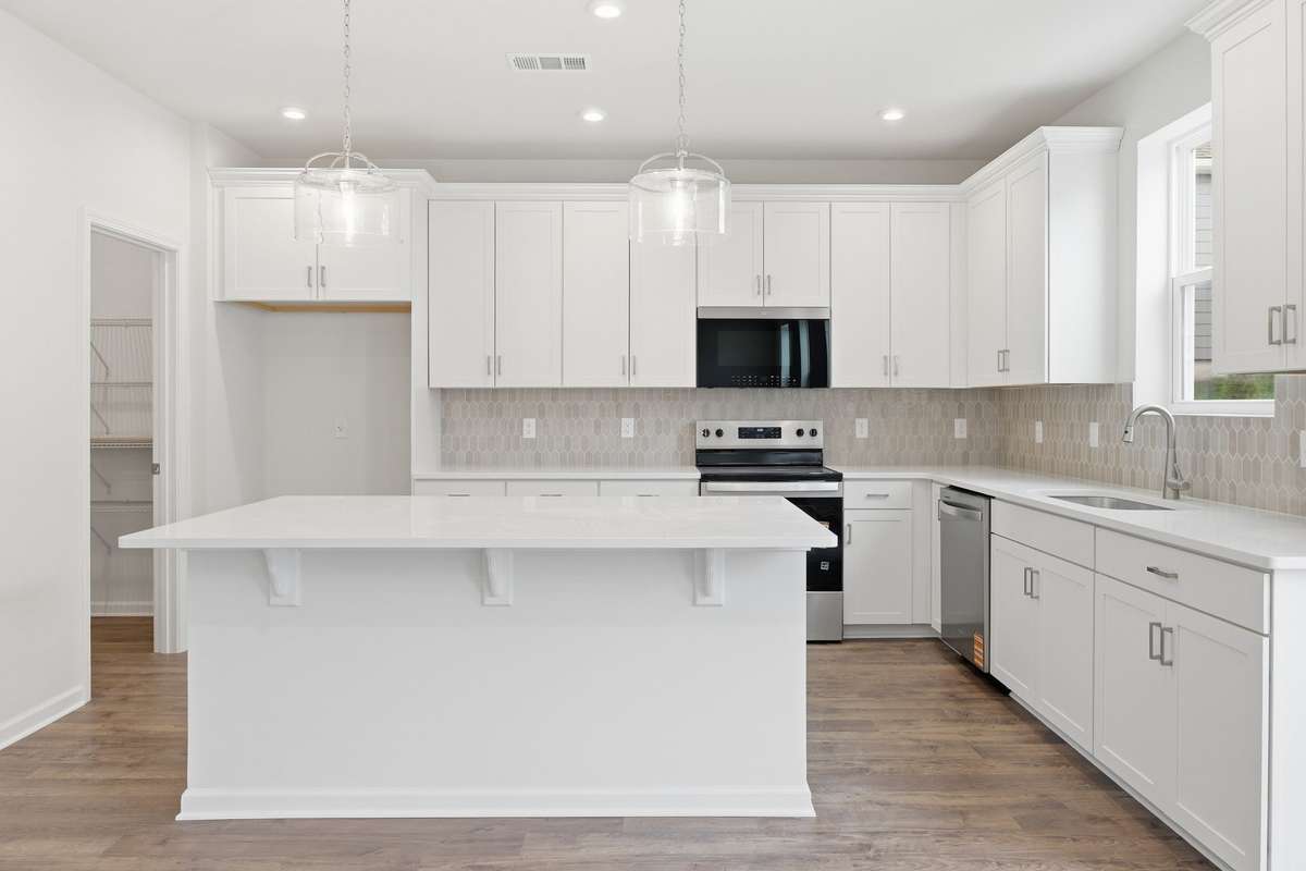 Gourmet Style Kitchen .