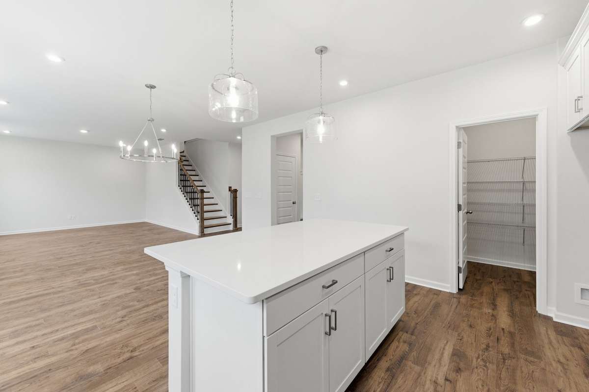 Massive walk-in pantry