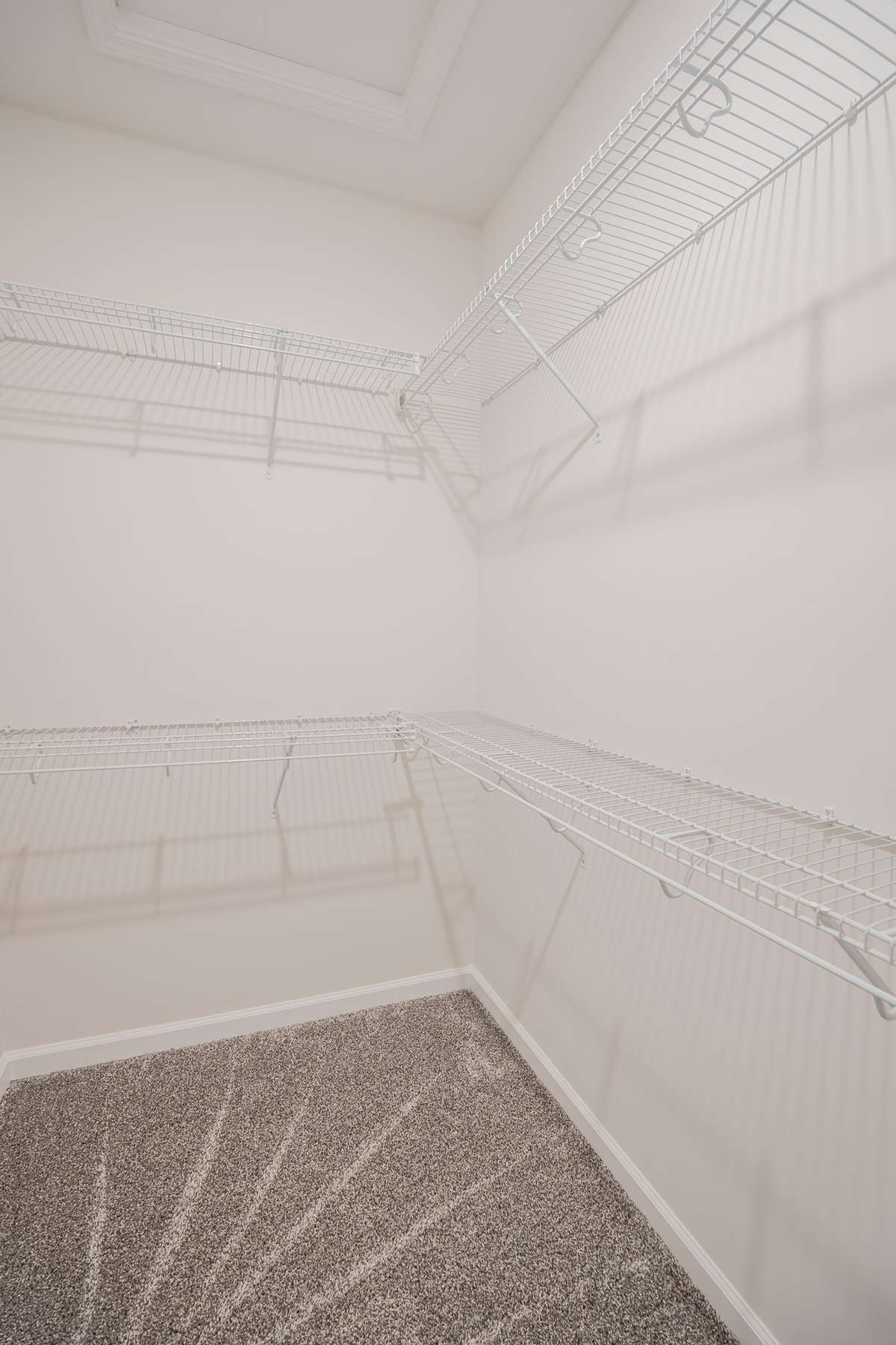 EXAMPLE>>> One of the Two Walk-in Closets, Lots of Shelving & a Shoe Rack!