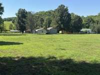 Large back yard.