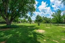 Lot line extends beyond the fenced in portion, and is staked. Shed is included!