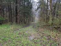 Long driveway into the center of the property.