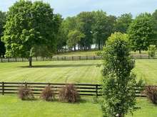 Back Yard with a Lake View. Property lot to Second Fence.