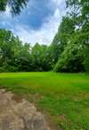 Back yard with new sewer field lines