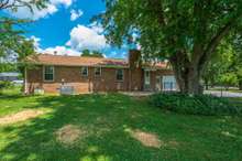 Mature shade tree with space for your entertaining