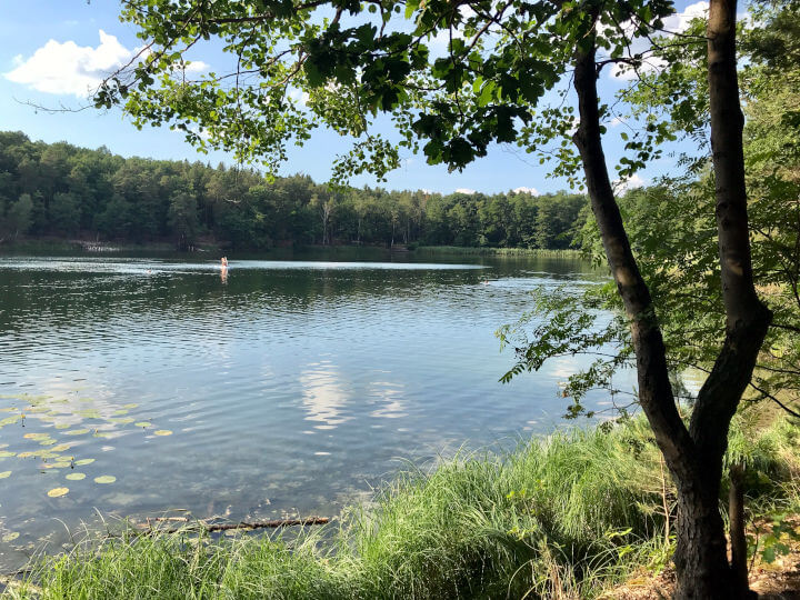 Blick auf den Kleinen Lienewitzsee