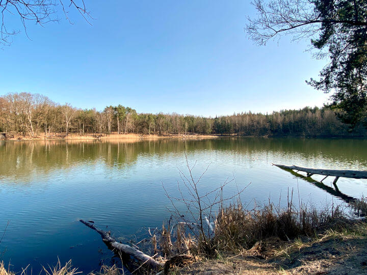 Blick vom Westufer am Kleinen Lienewitzsee