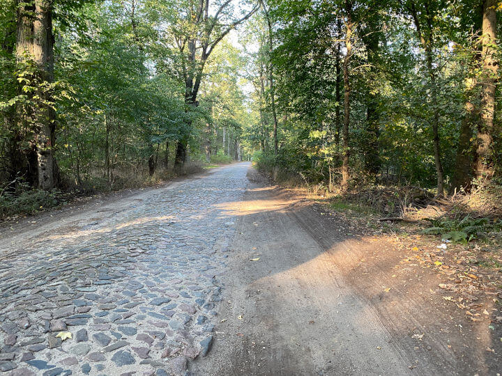 Die Straße Am Lienewitzsee