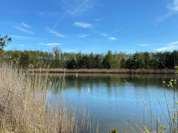 Der Blaue See bei Burgkemnitz