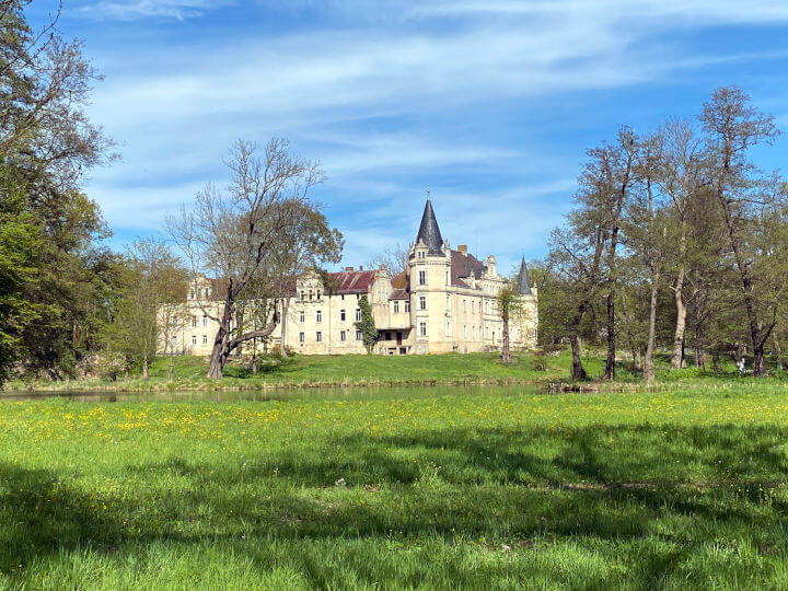 Im Schlosspark Burgkemnitz