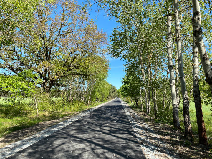 Auf dem frisch modernisierten Spreeradweg