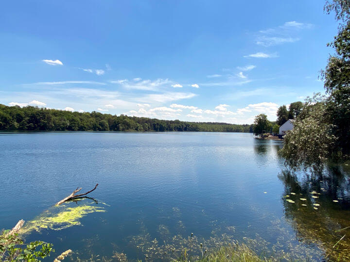 Blick auf den Schwarzen See in Falkenhagen