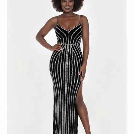 Premium Black & Silver Embellished Gown
