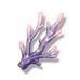 violet-coral