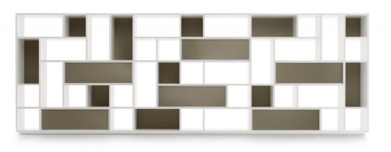 This photo shows the Opus bookcase by Rimadesio