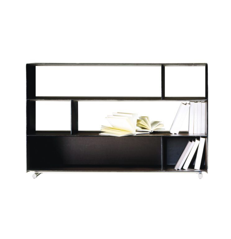 These photos show the Groundpiece bookcase by Flexform
