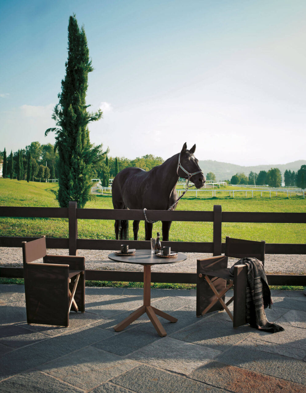 This photo shows the Orson outdoor chair by RODA