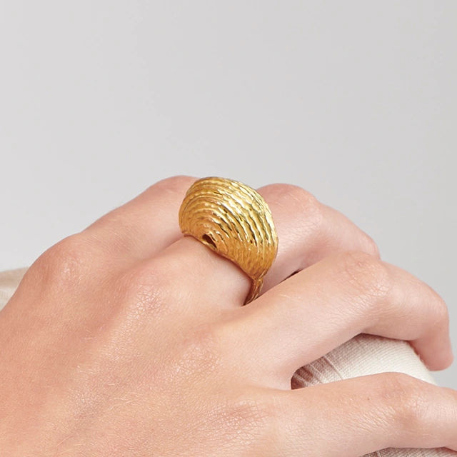 Close up of Terra Ring yK0hY-A8x