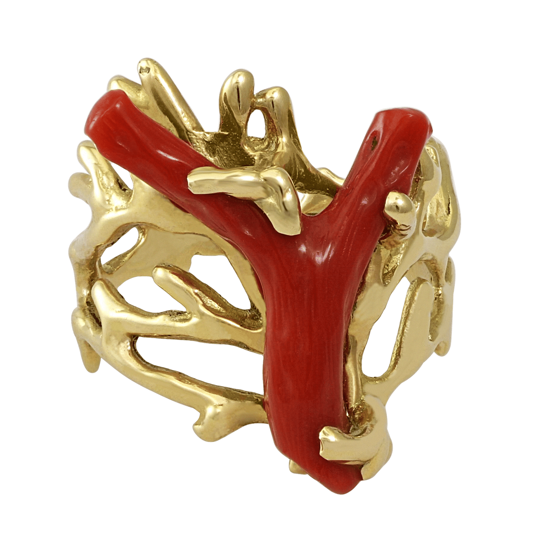 Front of Oceanide Ring
