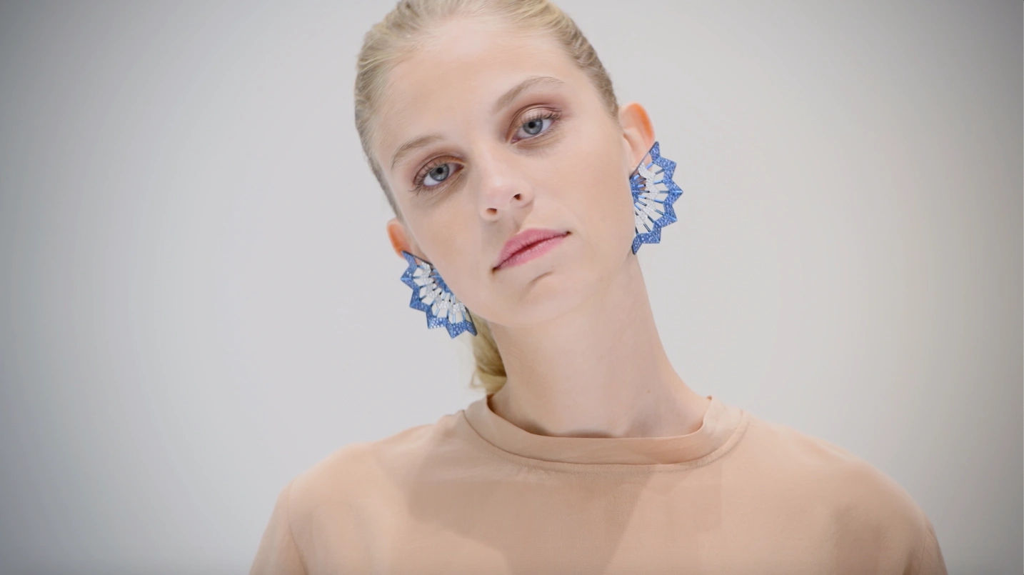 Diamond and Sapphire Titanium Dragonfly Earrings by Garaude Paris