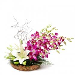 Orchids n Liliums