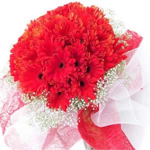 30 Red Gerbera Bunch