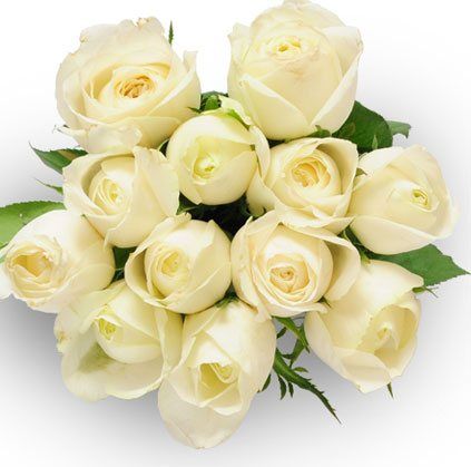 12 White Roses Bunch