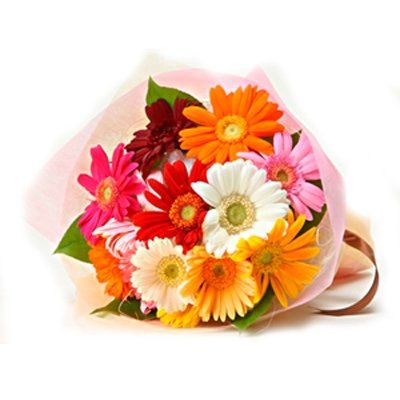 12 Multicolor Gerbera Bunch