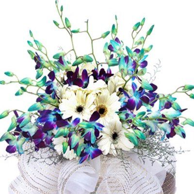 12 Blue Orchids Bunch