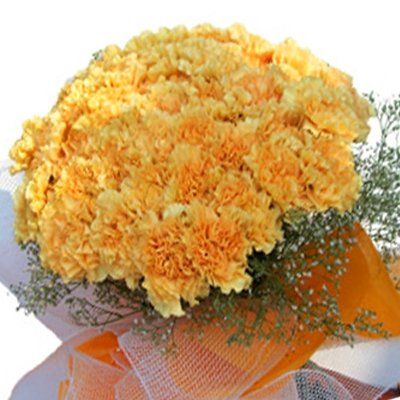 15 Yellow Carnations Bunch