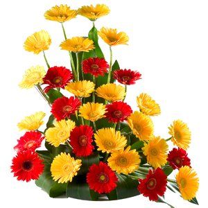 Mix Gerbera Basket