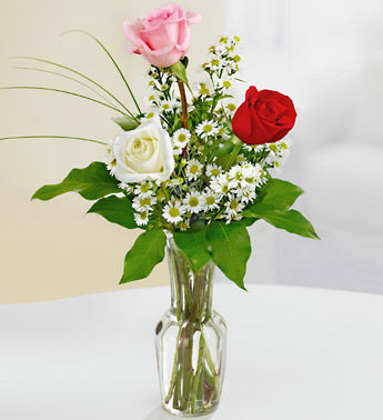 3 Mix Color Roses Vase