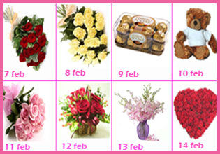 Valentine Week Gift 8 Day