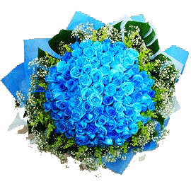 100 blue rose bunch