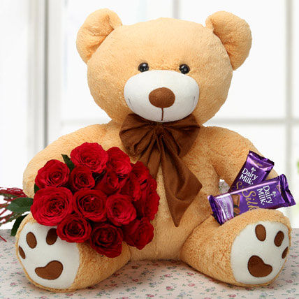 15 Red Roses Bunch with 20 inch Teddy and 2 Dairy Milk Silk Chocolates