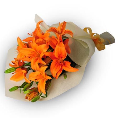 5 Orange Lilies Bunch