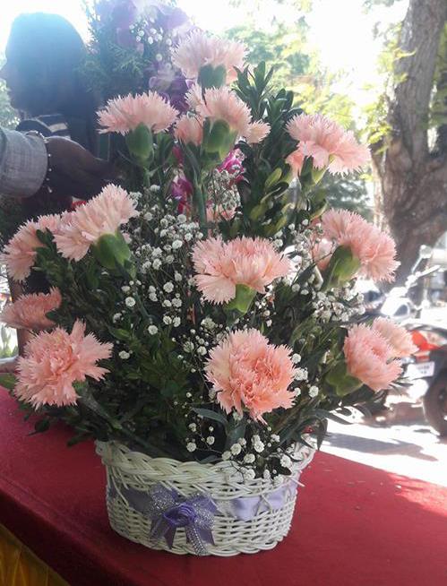 Baby Pink Carnation Basket