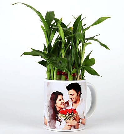 Lucky Bamboo in Personalised Mug