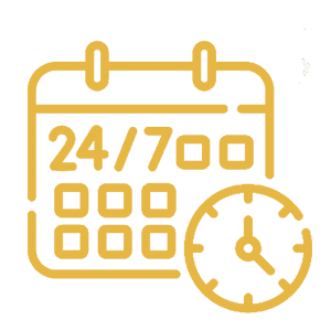 Disponibilità 24/7 - NCC Torino