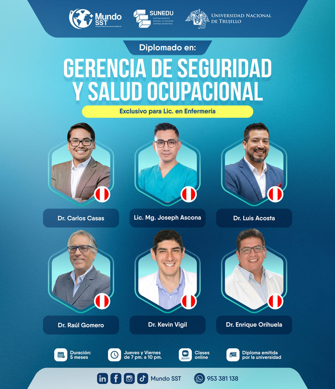 Plana Docente del Diplomado