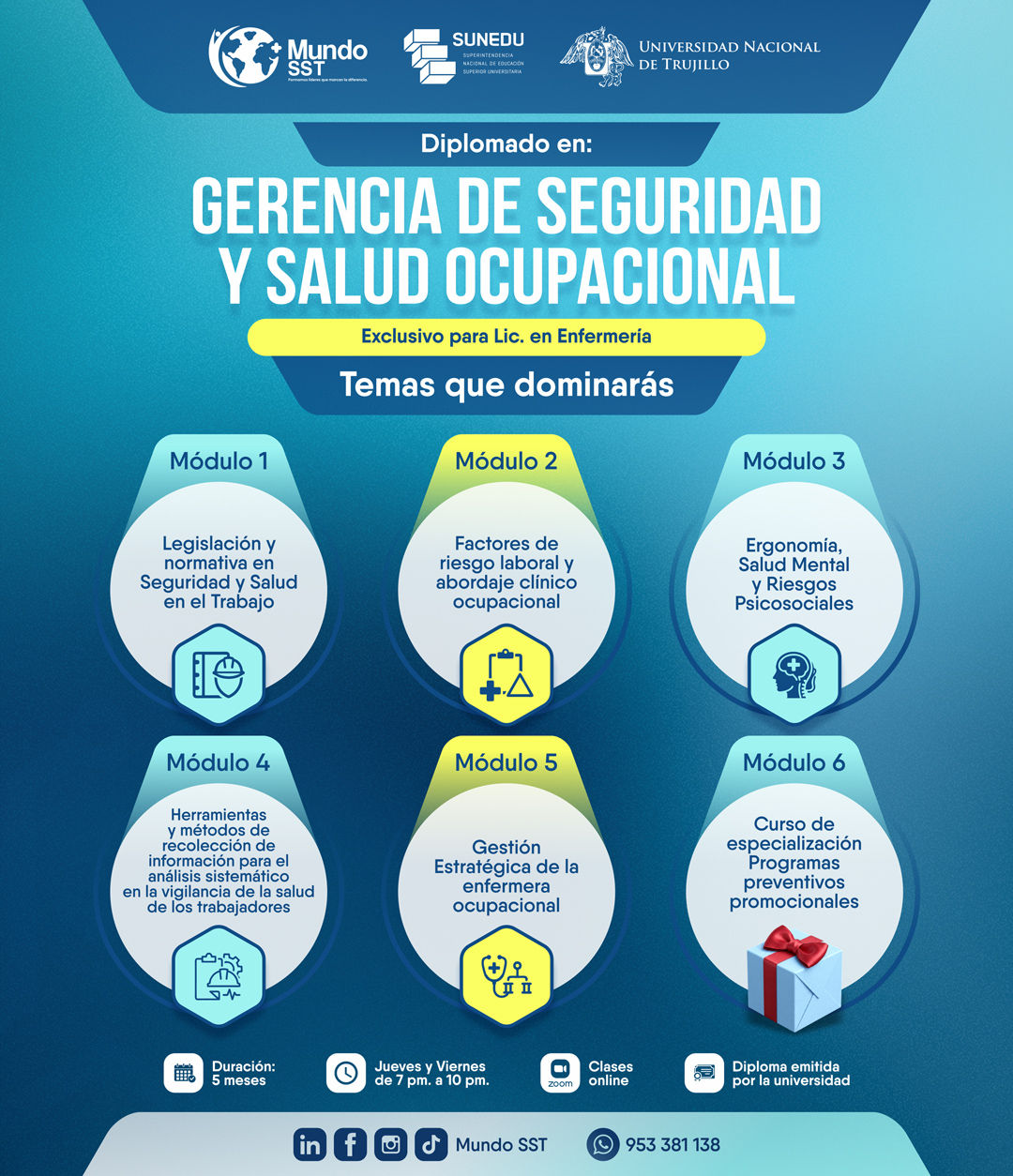 Estructura de Módulos del Diplomado