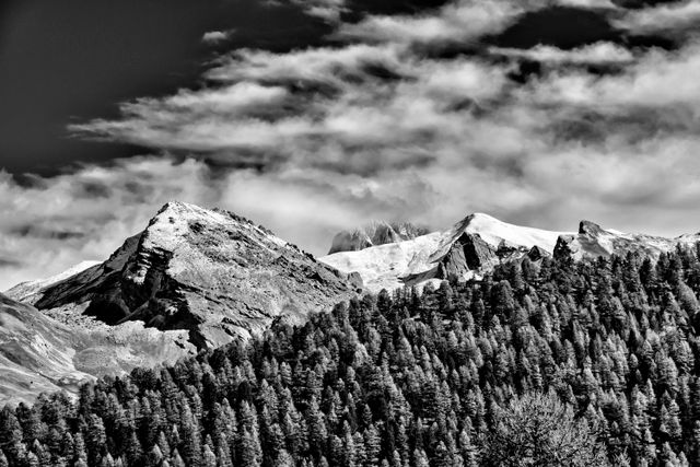 Un classique du B§W entre automne et hiver