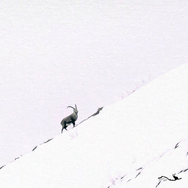 L'âme des hauteurs