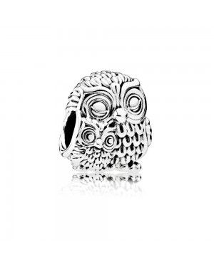 Pandora Charming Owls Charm 791966