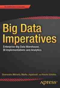 Big Data Imperatives