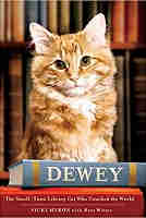 Dewey the Library Cat