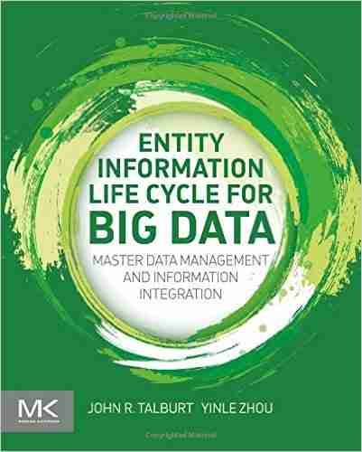 Entity Information Life Cycle For Big Data