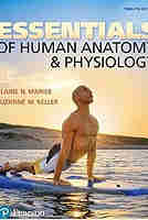 Essentials of Human Anatomy & Physiology