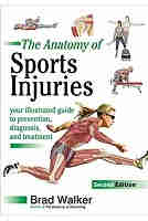 The Anatomy of Sports Injuries