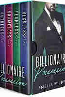 The Billionaire Possession Series